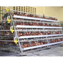 2017 Poultry Farming Equipment una jaula de pollo tipo capa con sistema automático para la venta